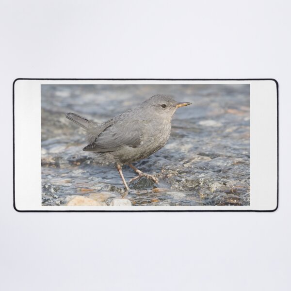 Item preview, American Dipper designed and sold by LaurenTucker.