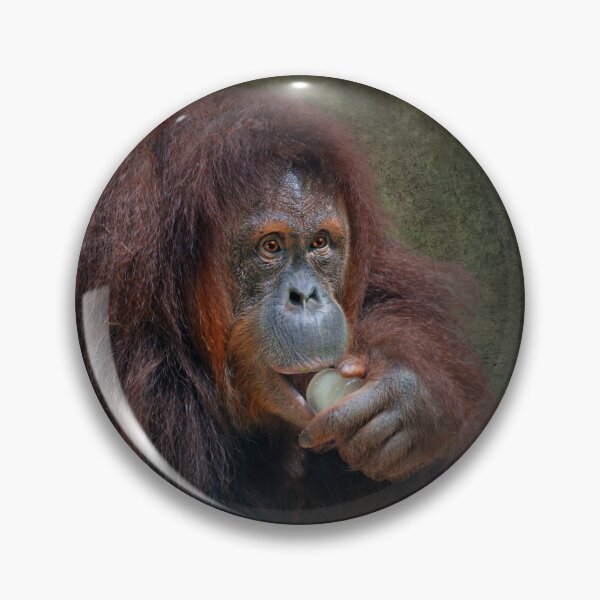 Item preview, Orangutan  designed and sold by Savannah Gibbs.