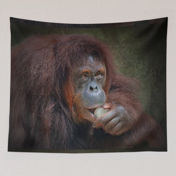 Item preview, Orangutan  designed and sold by Savannah Gibbs.
