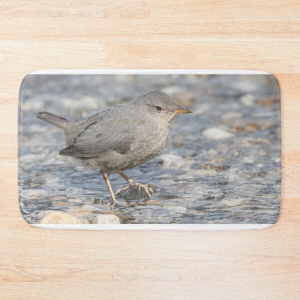 Item preview, American Dipper - Cinclus mexicanus designed and sold by LaurenTucker.
