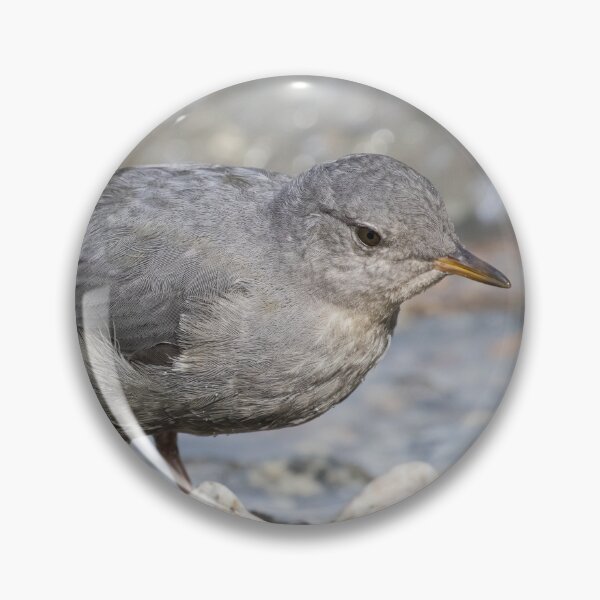 Item preview, American Dipper designed and sold by LaurenTucker.