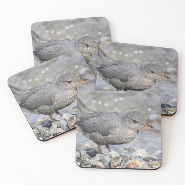 Item preview, American Dipper designed and sold by LaurenTucker.