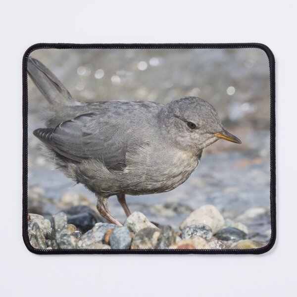Item preview, American Dipper designed and sold by LaurenTucker.