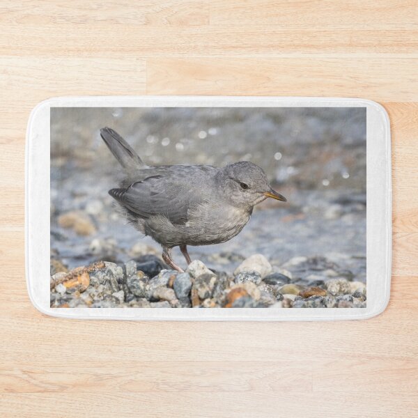 Item preview, American Dipper designed and sold by LaurenTucker.