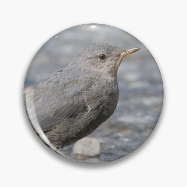 Item preview, American Dipper designed and sold by LaurenTucker.