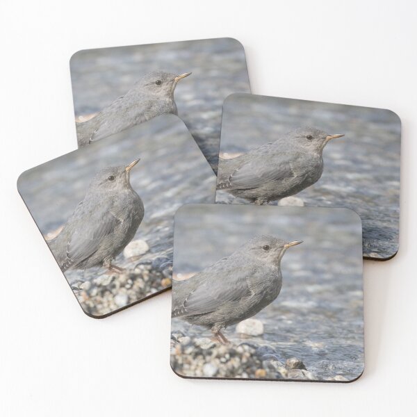 Item preview, American Dipper designed and sold by LaurenTucker.