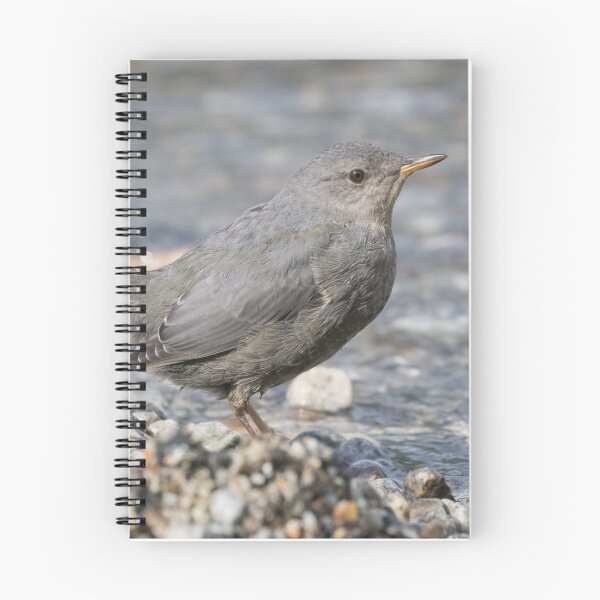 Item preview, American Dipper designed and sold by LaurenTucker.