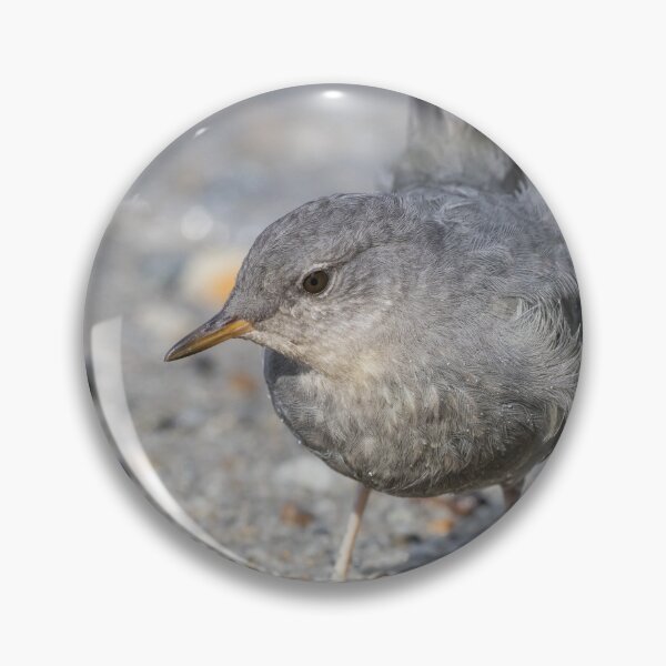 Item preview, American Dipper designed and sold by LaurenTucker.