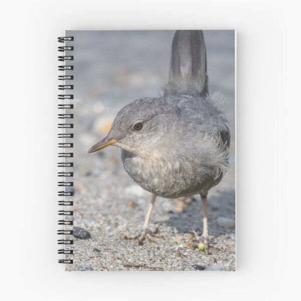 Item preview, American Dipper designed and sold by LaurenTucker.
