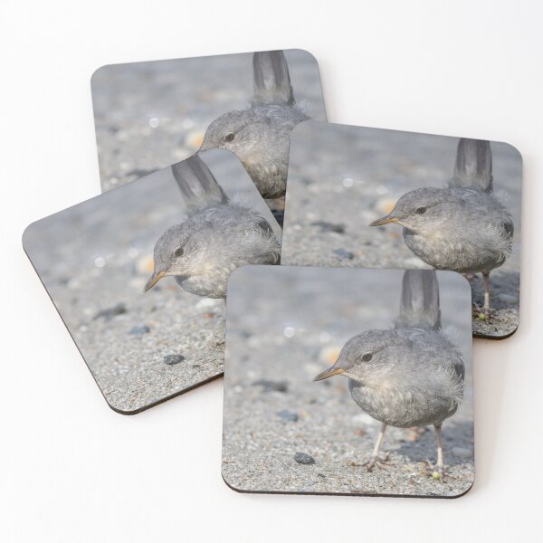 Item preview, American Dipper designed and sold by LaurenTucker.