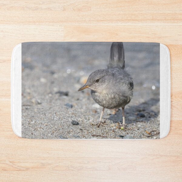 Item preview, American Dipper designed and sold by LaurenTucker.