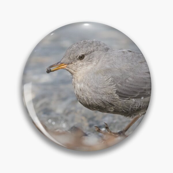 Item preview, American Dipper designed and sold by LaurenTucker.