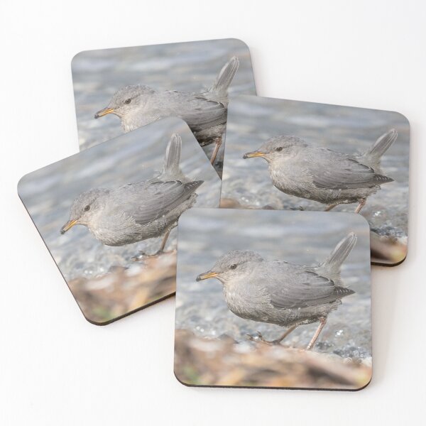 Item preview, American Dipper designed and sold by LaurenTucker.