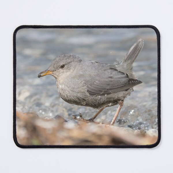 Item preview, American Dipper designed and sold by LaurenTucker.