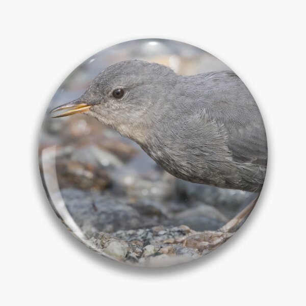 Item preview, American Dipper designed and sold by LaurenTucker.