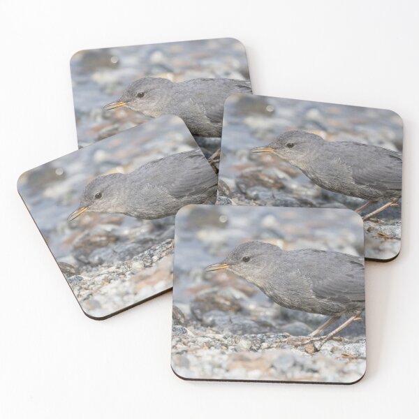 Item preview, American Dipper designed and sold by LaurenTucker.