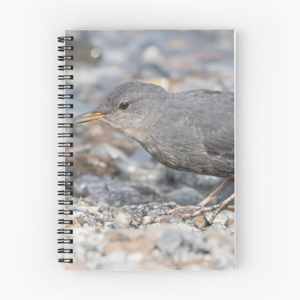 Item preview, American Dipper designed and sold by LaurenTucker.