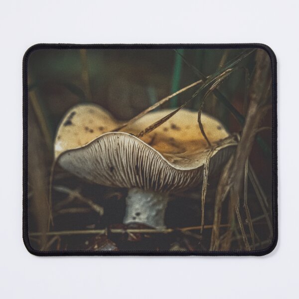 Item preview, Beneath the Mushroom Cap designed and sold by Wildframe Works.
