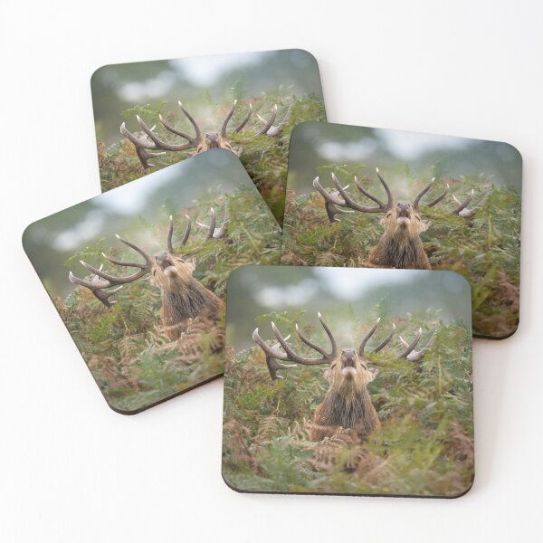 Item preview, Stag Among the Ferns designed and sold by Wildframe Works.