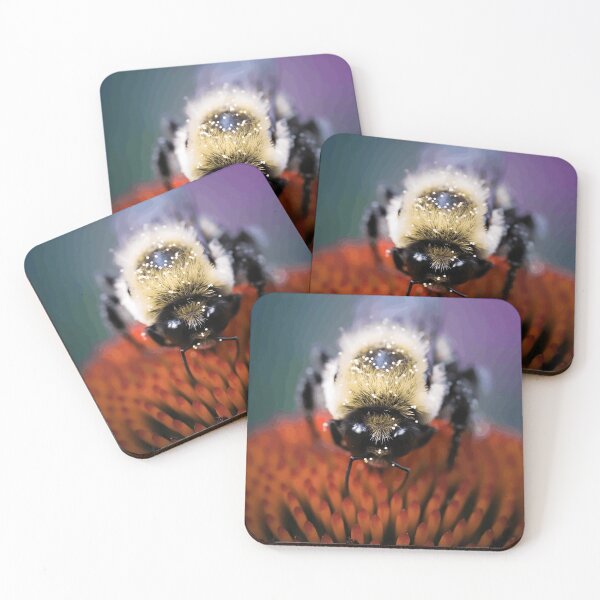 Item preview, Bumblebee on a Coneflower designed and sold by Wildframe Works.