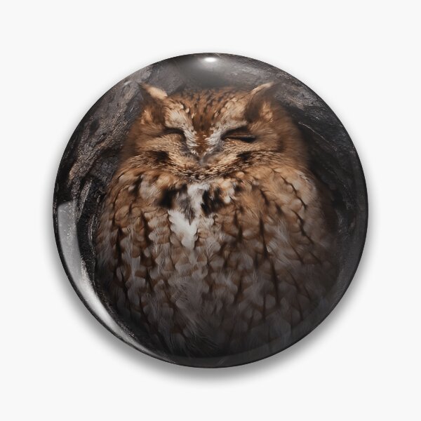 Item preview, Sleeping Owl in a Tree Hollow designed and sold by Wildframe Works.