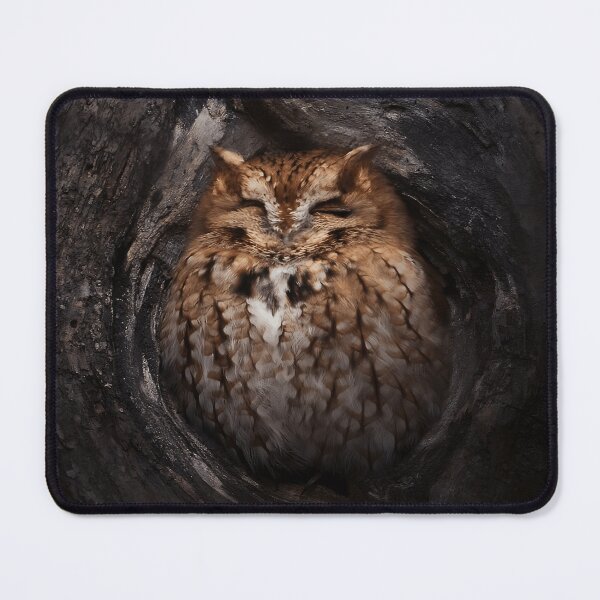 Item preview, Sleeping Owl in a Tree Hollow designed and sold by Wildframe Works.