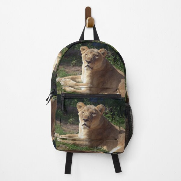 Item preview, Majestic Lioness Resting in Sunshine designed and sold by Savannah Gibbs.