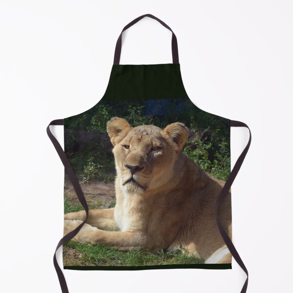 Item preview, Majestic Lioness Resting in Sunshine designed and sold by Savannah Gibbs.