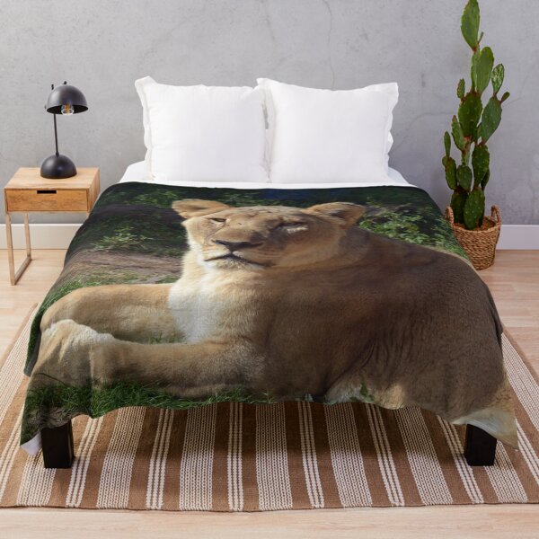 Item preview, Majestic Lioness Resting in Sunshine designed and sold by Savannah Gibbs.
