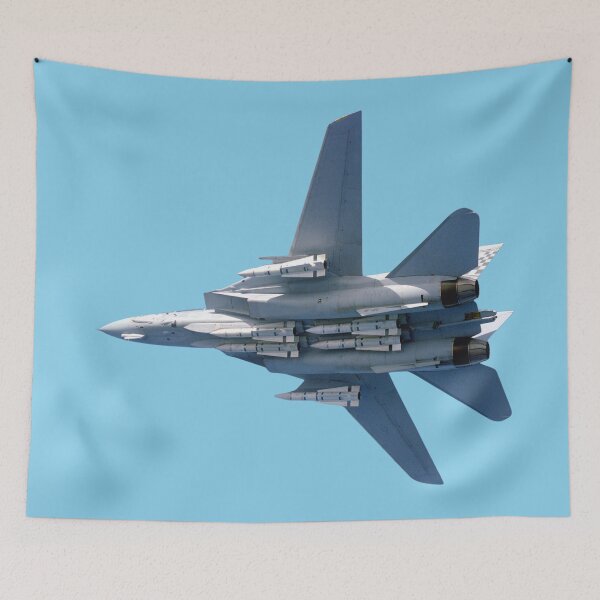Item preview, F-14 Tomcat High-G Bank Air Combat Loadout Vector Art designed and sold by AfterburnerLab.