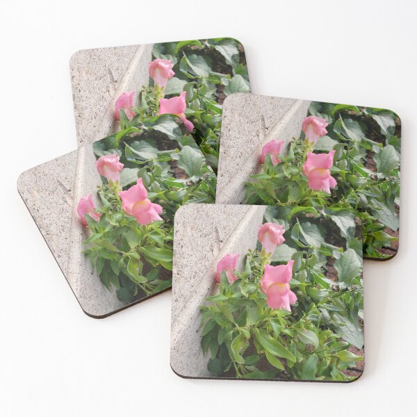 Item preview, Pink Snapdragons and Browneyed Susan Rosettes designed and sold by concretebotany.