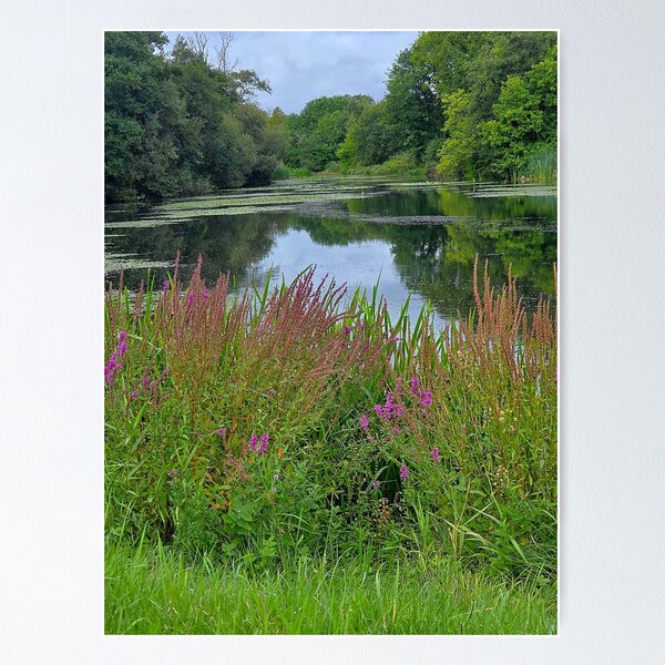 Item preview, Peace at the lakeside - nature photography designed and sold by PACollins.