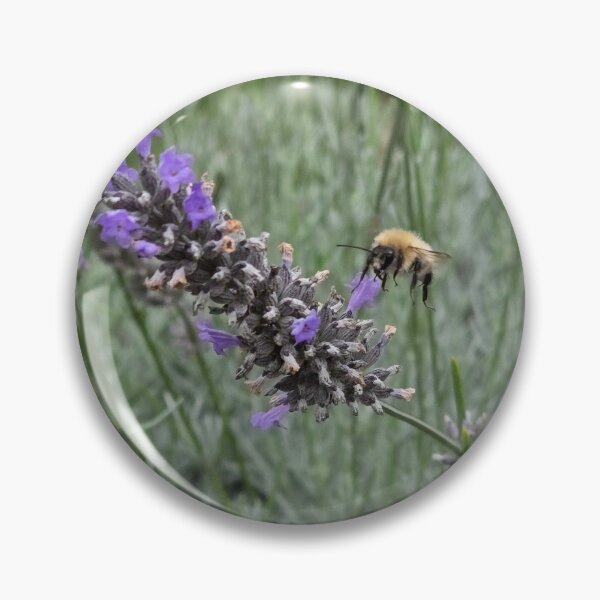 Item preview, Bumblebee and lavender - nature photography designed and sold by PACollins.
