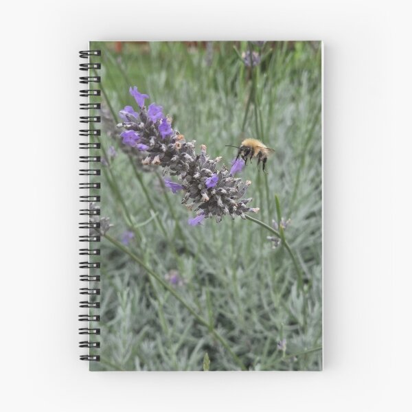 Item preview, Bumblebee and lavender - nature photography designed and sold by PACollins.