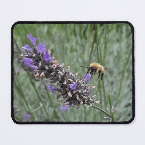 Item preview, Bumblebee and lavender - nature photography designed and sold by PACollins.