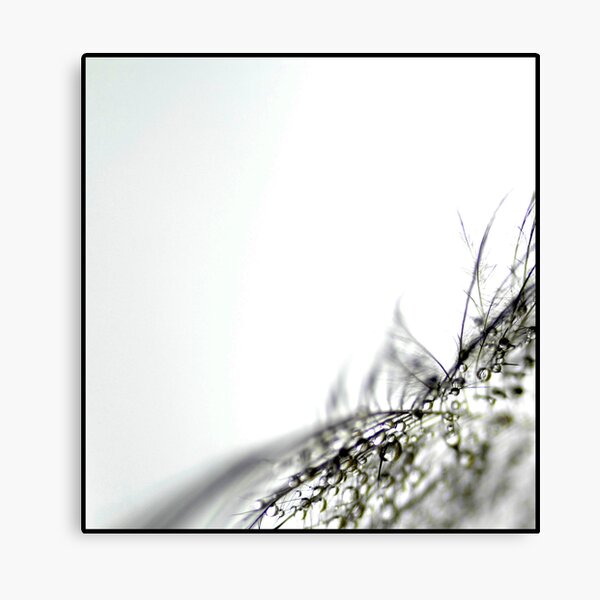 The Gift Canvas Print