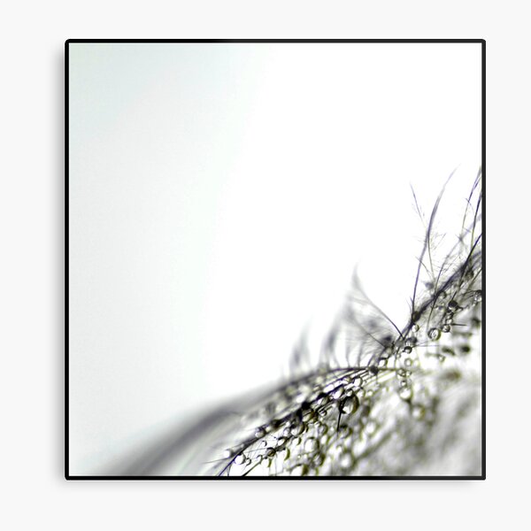 The Gift Metal Print
