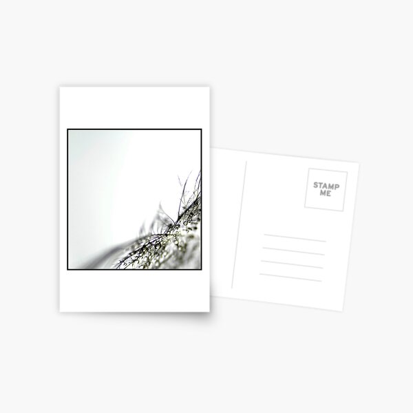The Gift Postcard