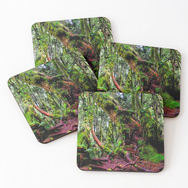 Item preview, Mossy Forest designed and sold by troianifabrizio.