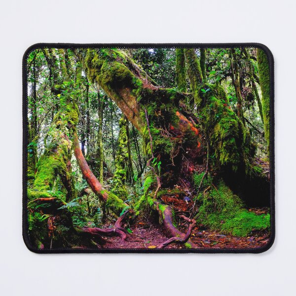 Item preview, Mossy Forest designed and sold by troianifabrizio.