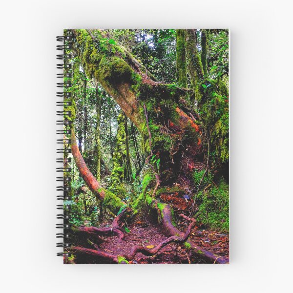 Item preview, Mossy Forest designed and sold by troianifabrizio.