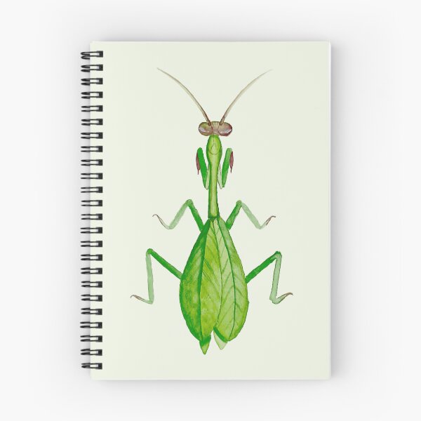 Item preview, Praying Mantis – Watercolor Insect Illustration designed and sold by Greitas.