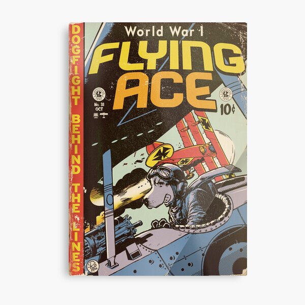 World War 1 Flying Ace Metal Print