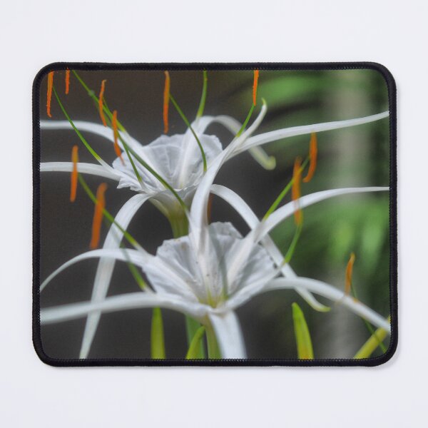 Item preview, The spreading of the Ismene perfume. (1) designed and sold by Larry Davis.