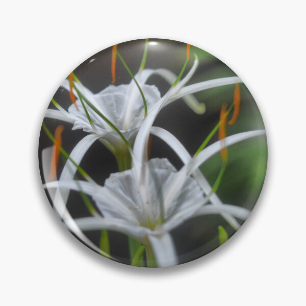 Item preview, The spreading of the Ismene perfume. (1) designed and sold by Larry Davis.