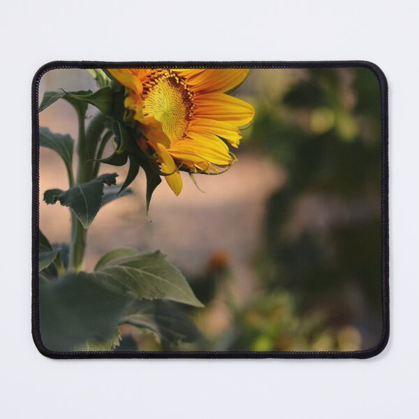 Item preview, Positive Color Vibrations designed and sold by BenjiyaHilary.