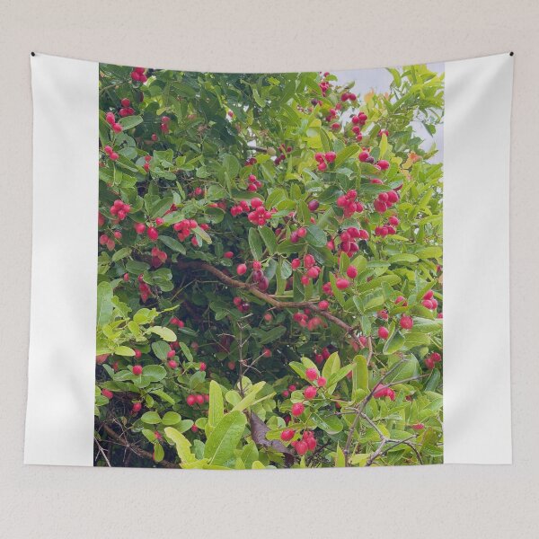 Item preview, Emotional Color Journey designed and sold by BenjiyaHilary.