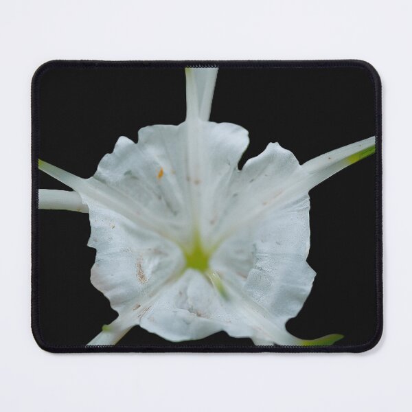 Item preview, Spreading the perfume of the Ismene festalis (2) designed and sold by Larry Davis.