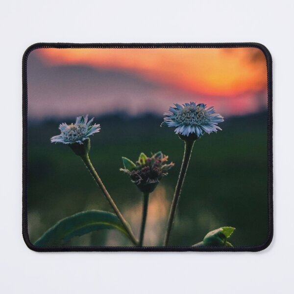 Item preview, Toronto City Lights designed and sold by Alexewlow.