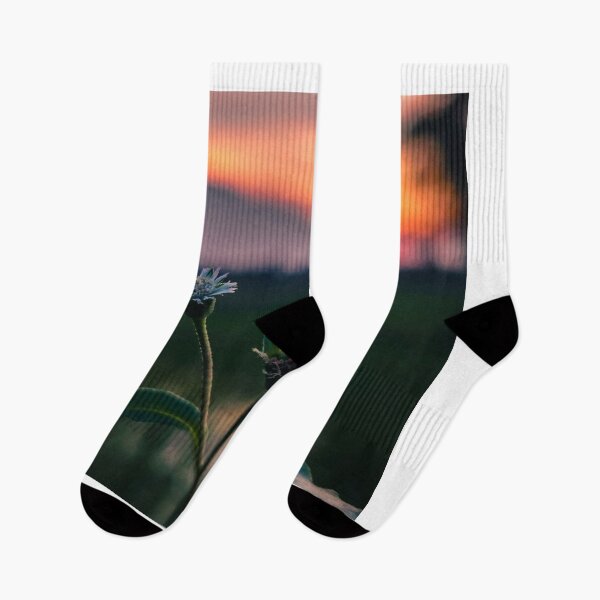 Item preview, Toronto City Lights designed and sold by Alexewlow.
